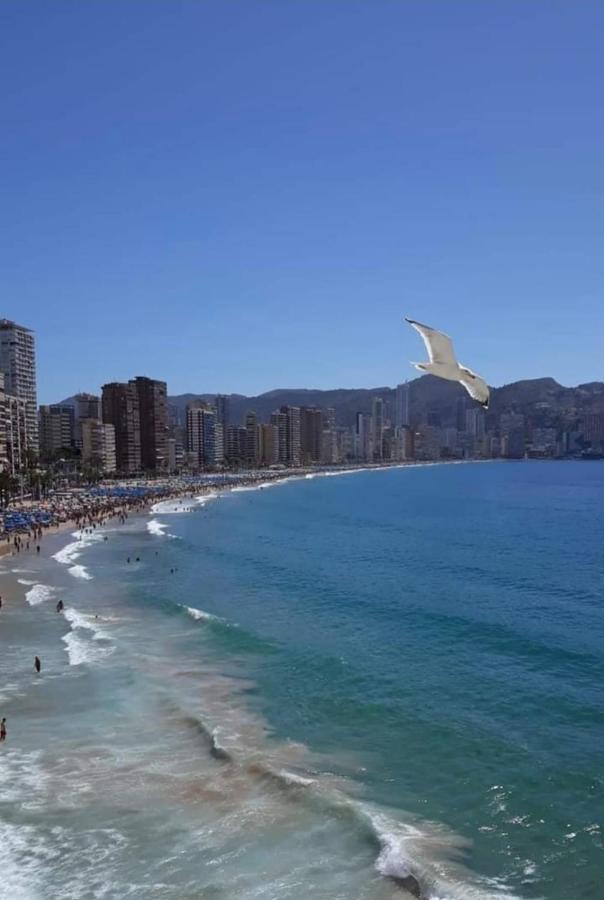 San Remo Levante Beach Apartments Benidorm Luaran gambar